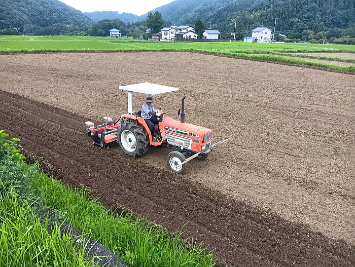 大豆畑20260710
