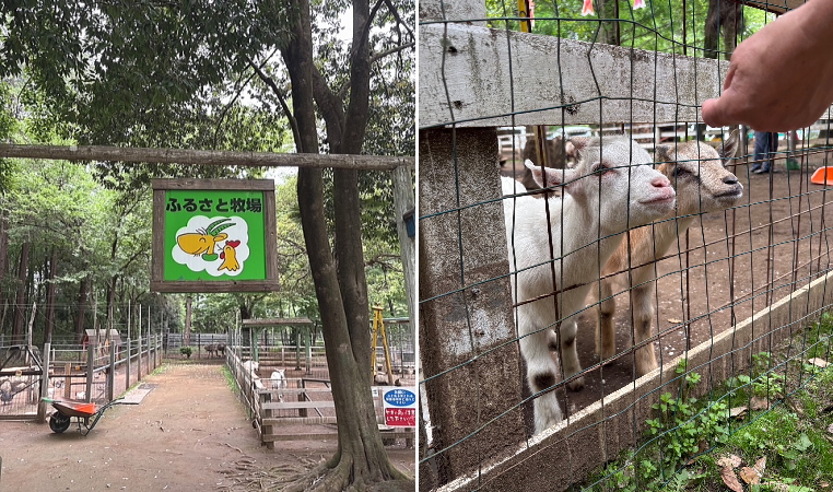 ふるさと牧場