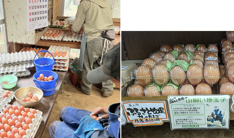 ふるさと牧場
